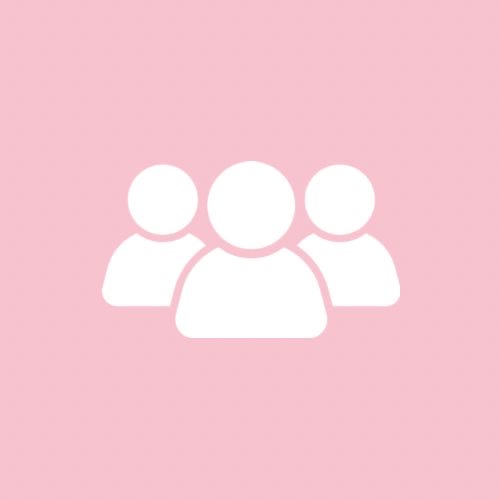 عنوان یا نام محصول